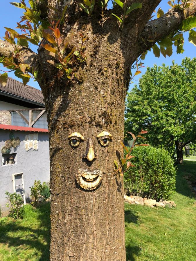 Ferien- Und Monteurswohnung Heilbrunnen Woerth am Rhein Eksteriør billede